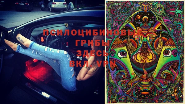мдма Богородск