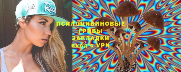 ГАЛЛЮЦИНОГЕННЫЕ ГРИБЫ Богородицк