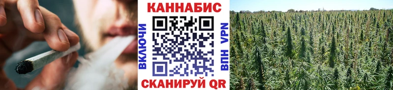 Купить где  Краснокаменск  Канабис гибрид 